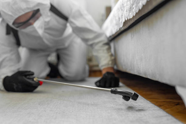 Professional Bed Bug Control technician working in Connell, WA
