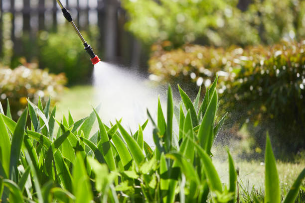 24/7 Emergency Bed Bug Control experts in Connell, WA
